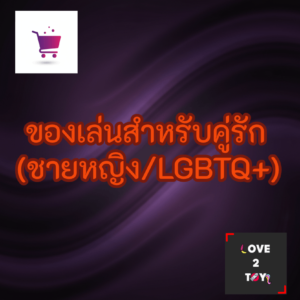 ของเล่นสำหรับคู่รัก (ชายหญิง/LGBTQ+)